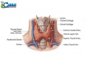 Interventional Radiology Procedure at Dr. Gaurav Gangwani’s Clinic