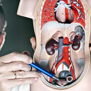 Prostate Artery Visualization – Minimally Invasive BPH Treatment via Embolization