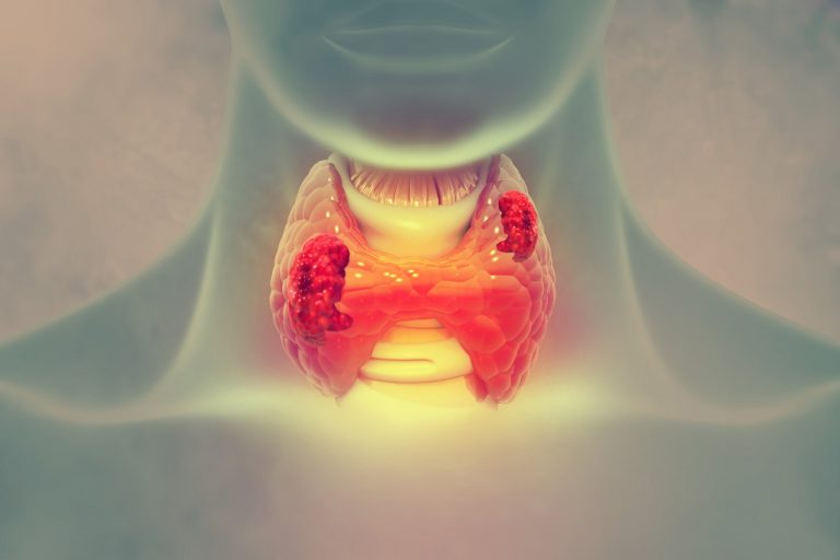 Thyroid in neck